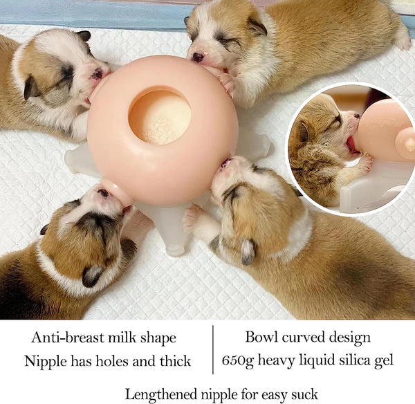 Tuckers™ Pet Milk Feeding Bowl, Because They Deserve the Best